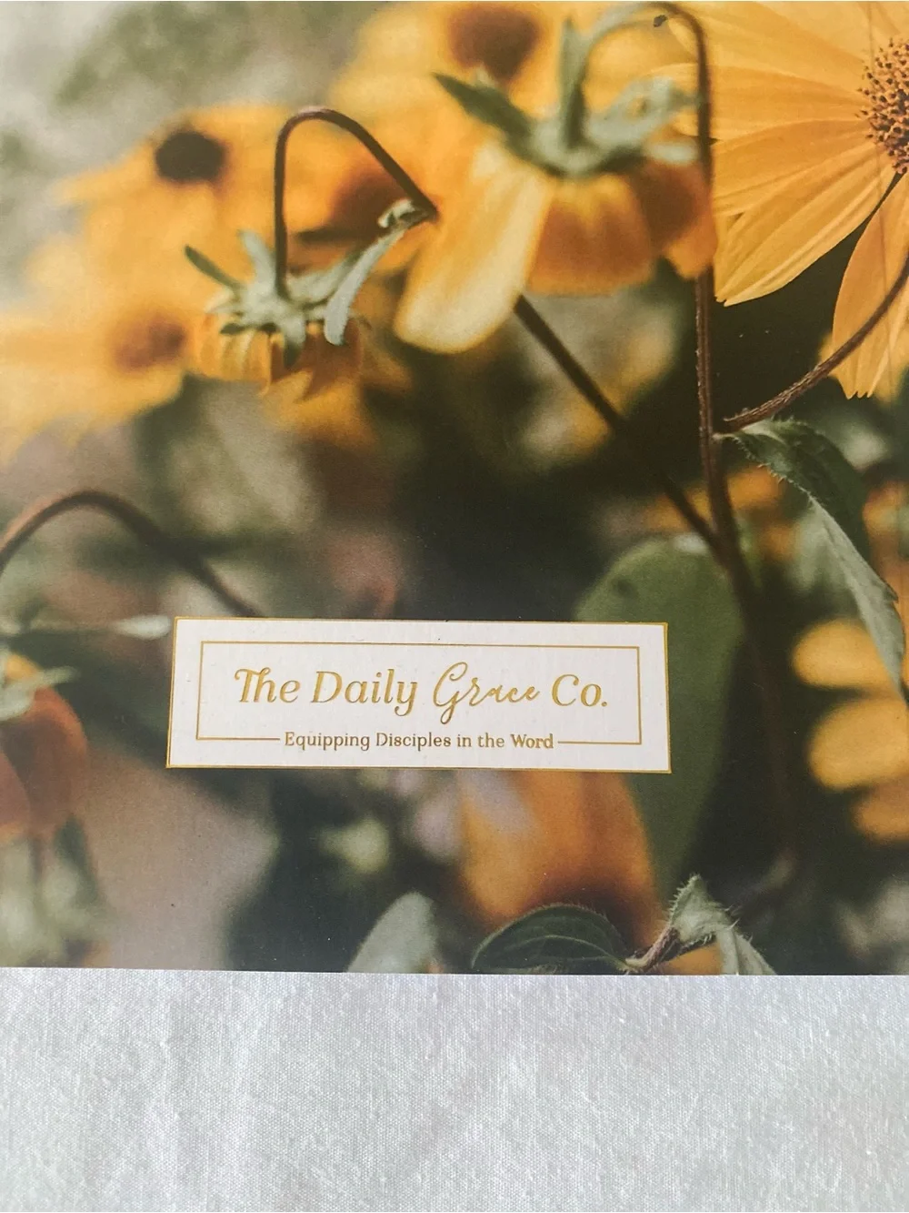 The Daily Grace Co. Thirty-One Days of Prayer for Others Paperback 2022 ISBN